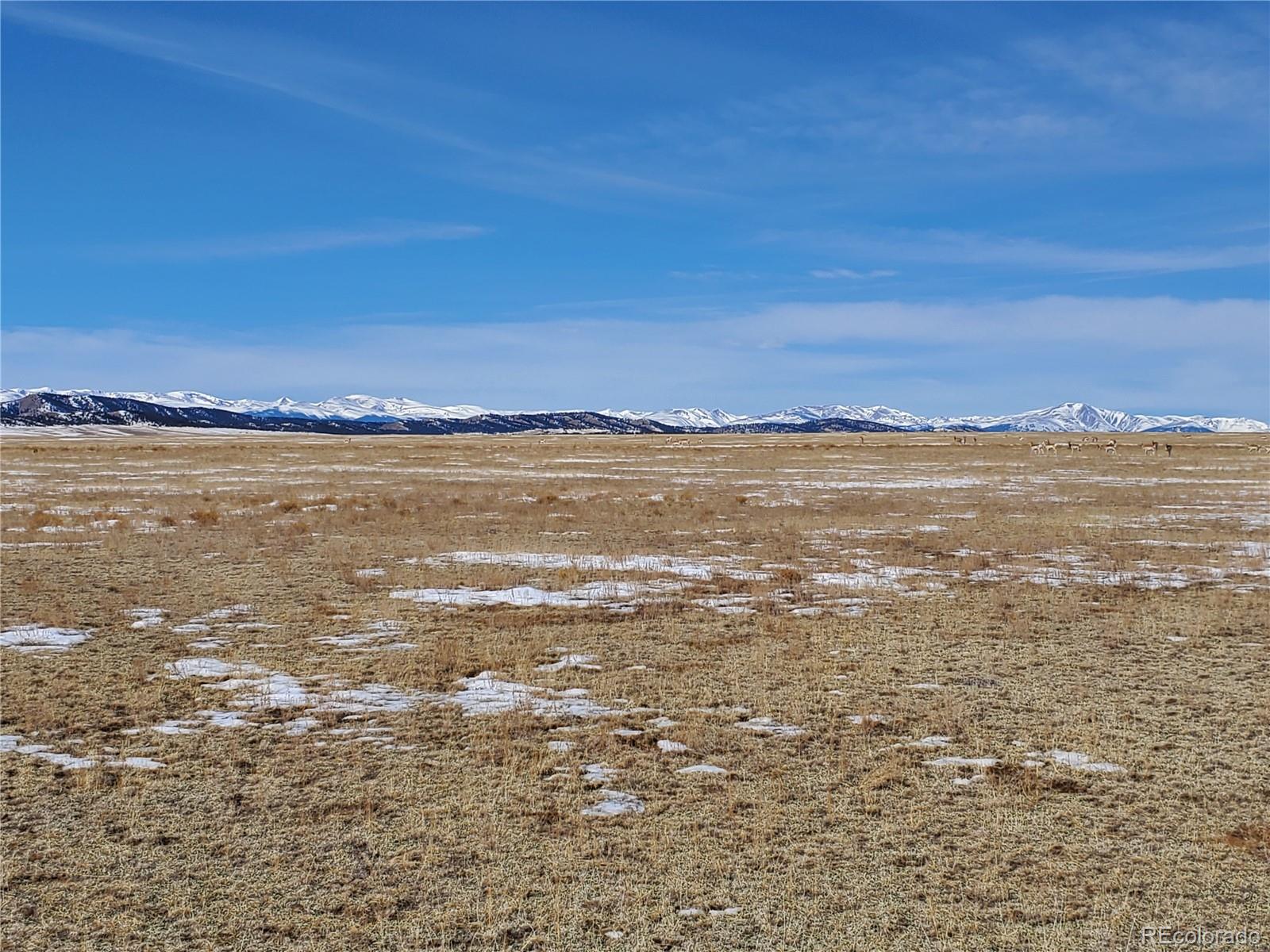 127 Montezuma Road Lake George, CO 80827 - Photo 10 of 18