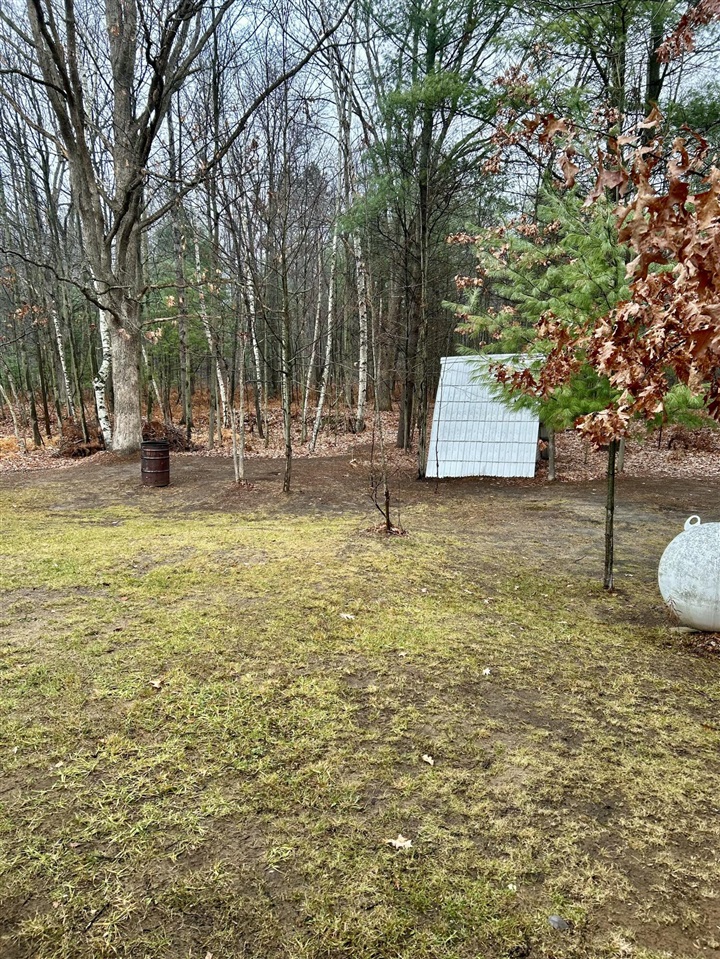 2471 West 12 Mile Road Bitely, MI 49309 - Photo 30 of 39
