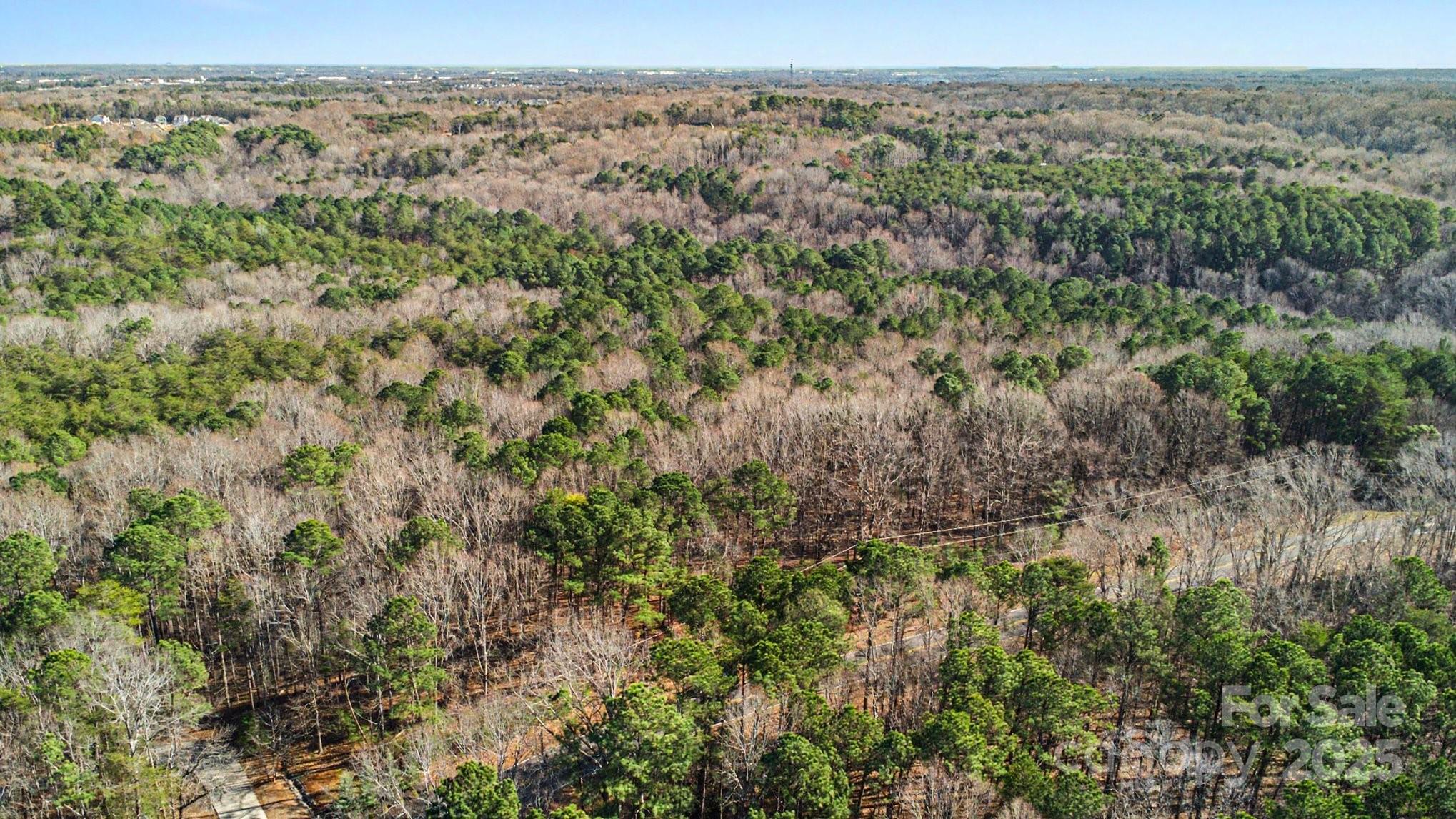 9026 Island Point Road Charlotte, NC 28278 - Photo 3 of 19 an aerial view of forest