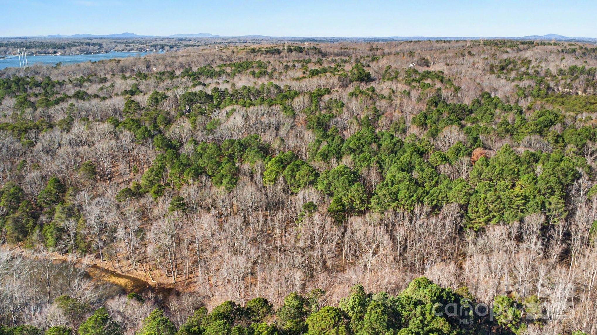 9026 Island Point Road Charlotte, NC 28278 - Photo 6 of 19 a view of a green field