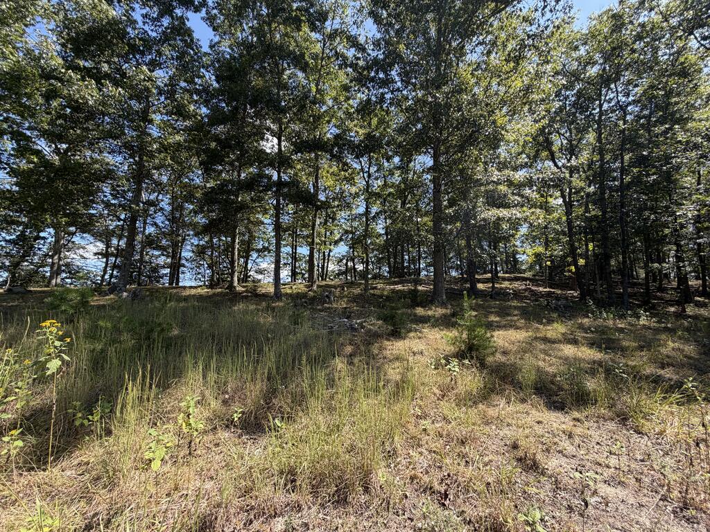 2443 Bruce Allen Road Hinton, WV 25951 - Photo 47 of 75 Gallery Image 47