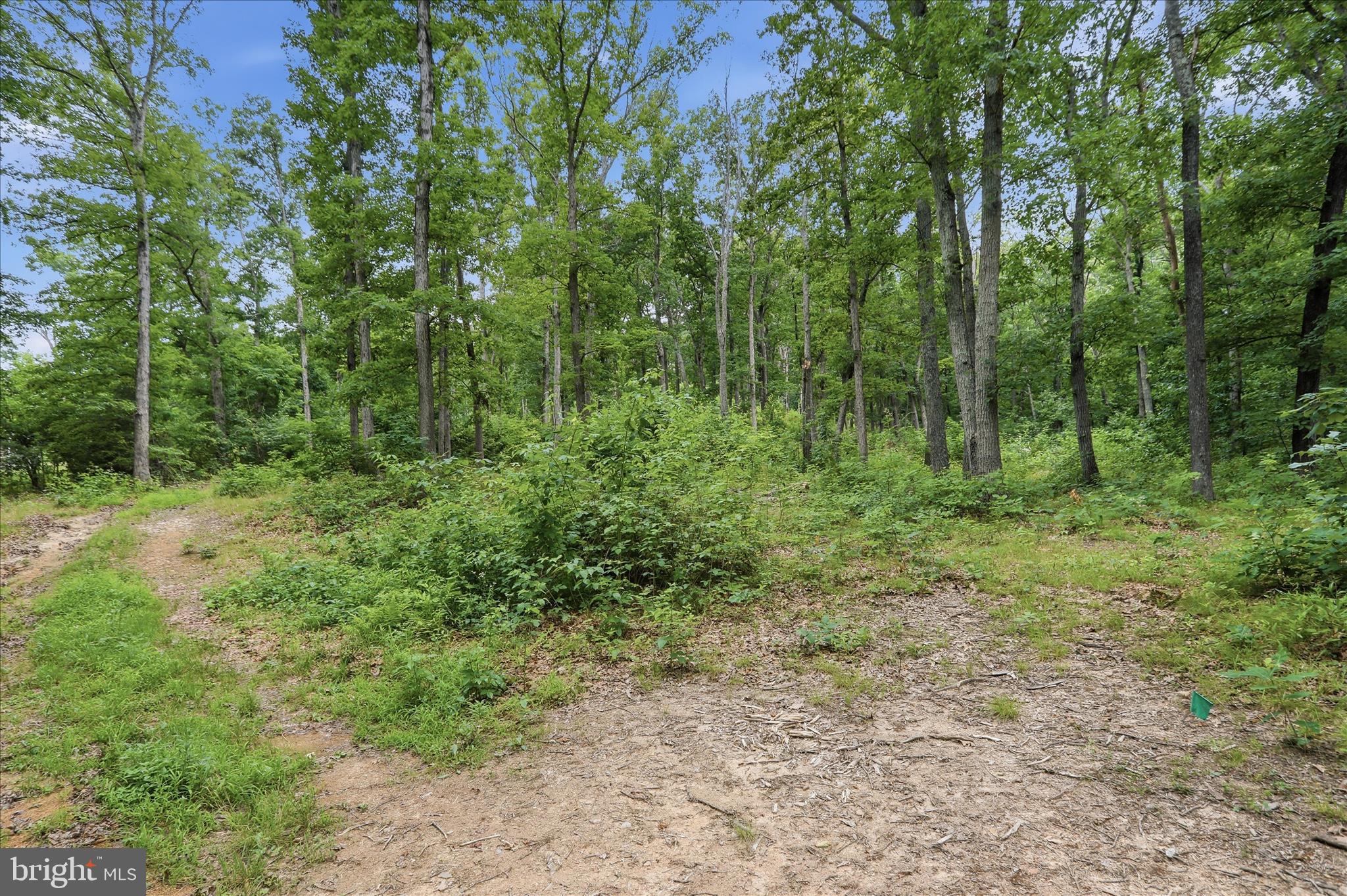Messick Road Strasburg, VA 22657 - Photo 9 of 22