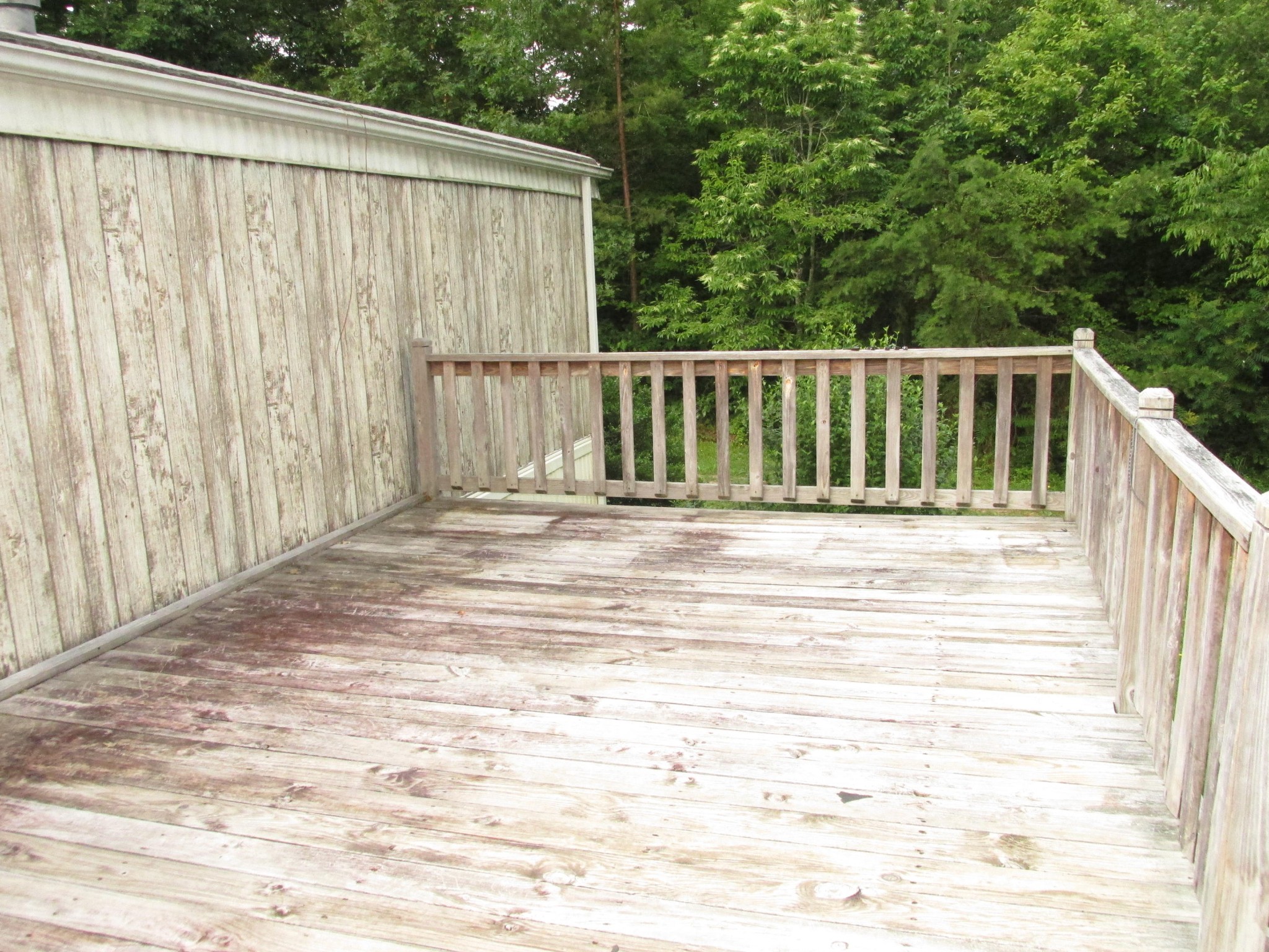 243 Rankin Road Deer Lodge, TN 37726 - Photo 39 of 39 Gallery Image 39