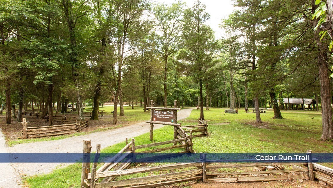148 Cecil Road Lebanon, TN 37087 - Photo 46 of 46 Gallery Image 46