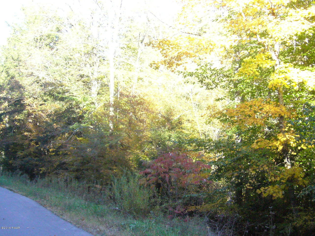 Silver Lake Road Deposit, NY 13754 - Photo 6 of 7
