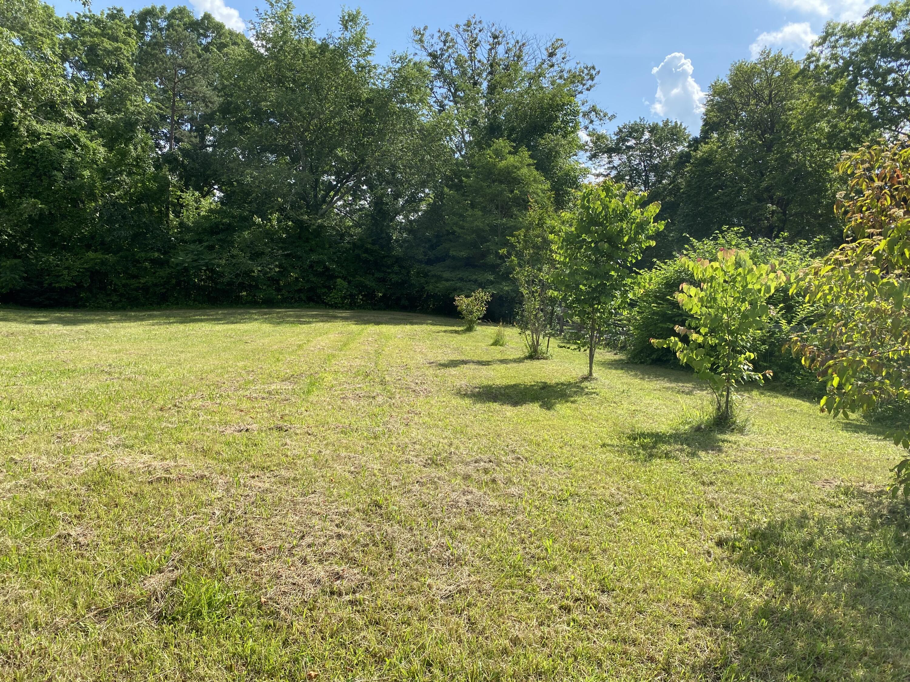 101 Dandy Road Signal Mountain, TN 37377 - Photo 56 of 59 IMG_2279