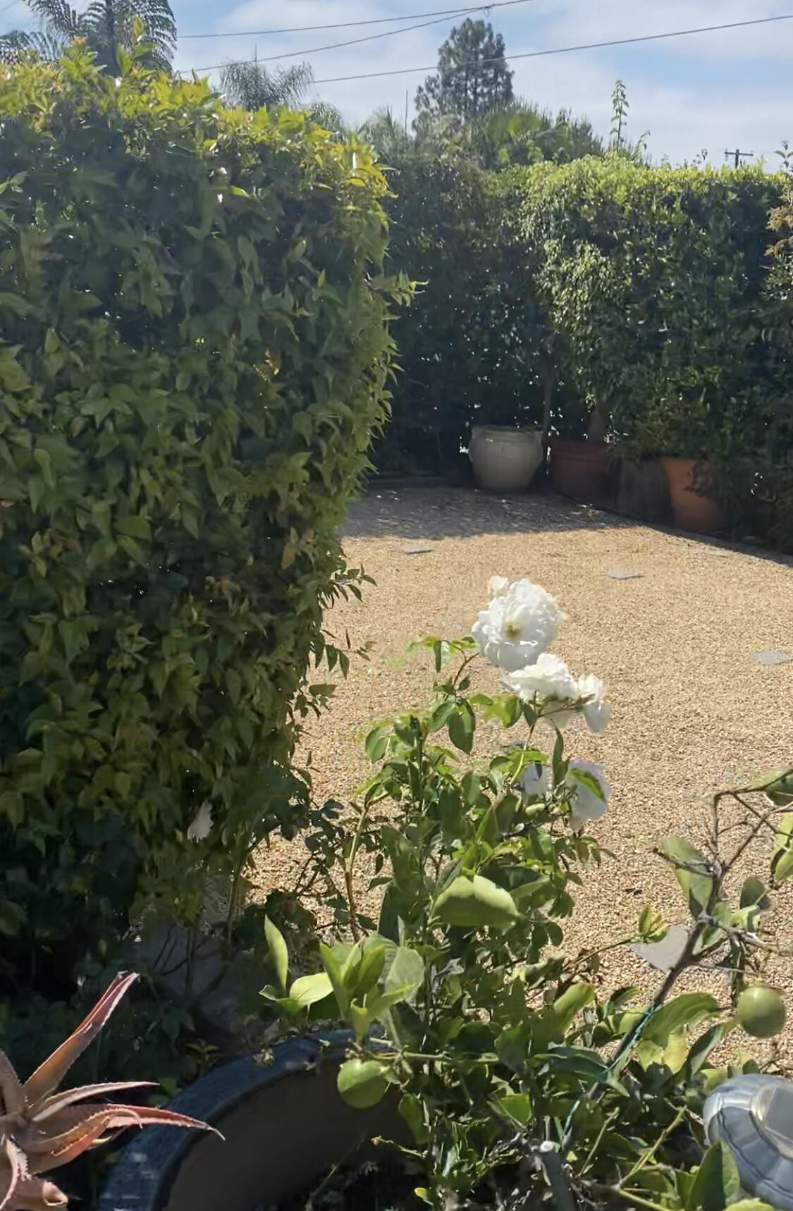 3068 Foothill Road Santa Barbara, CA 93105 - Photo 1 of 1 IMG_6482