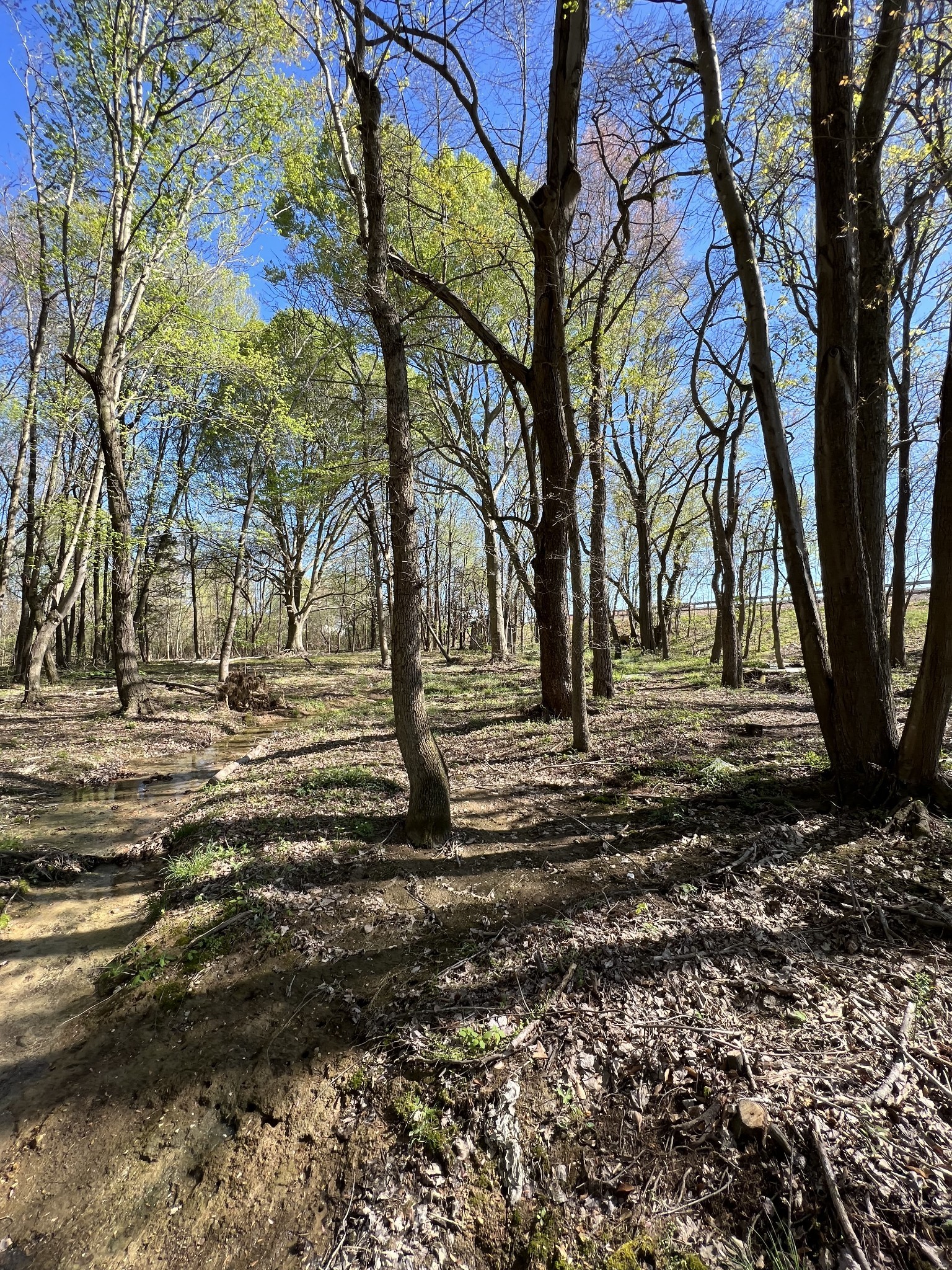 22 Highway 52 East Lafayette, TN 37083 - Photo 2 of 3 a view of road with trees