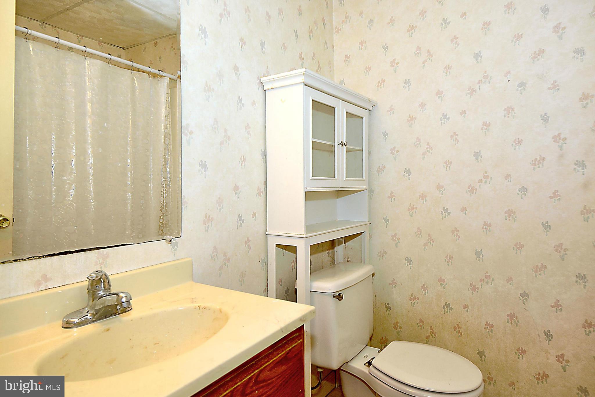 11330 Classical Lane Silver Spring, MD 20901 - Photo 25 of 30 Bath 3 in Lower Level