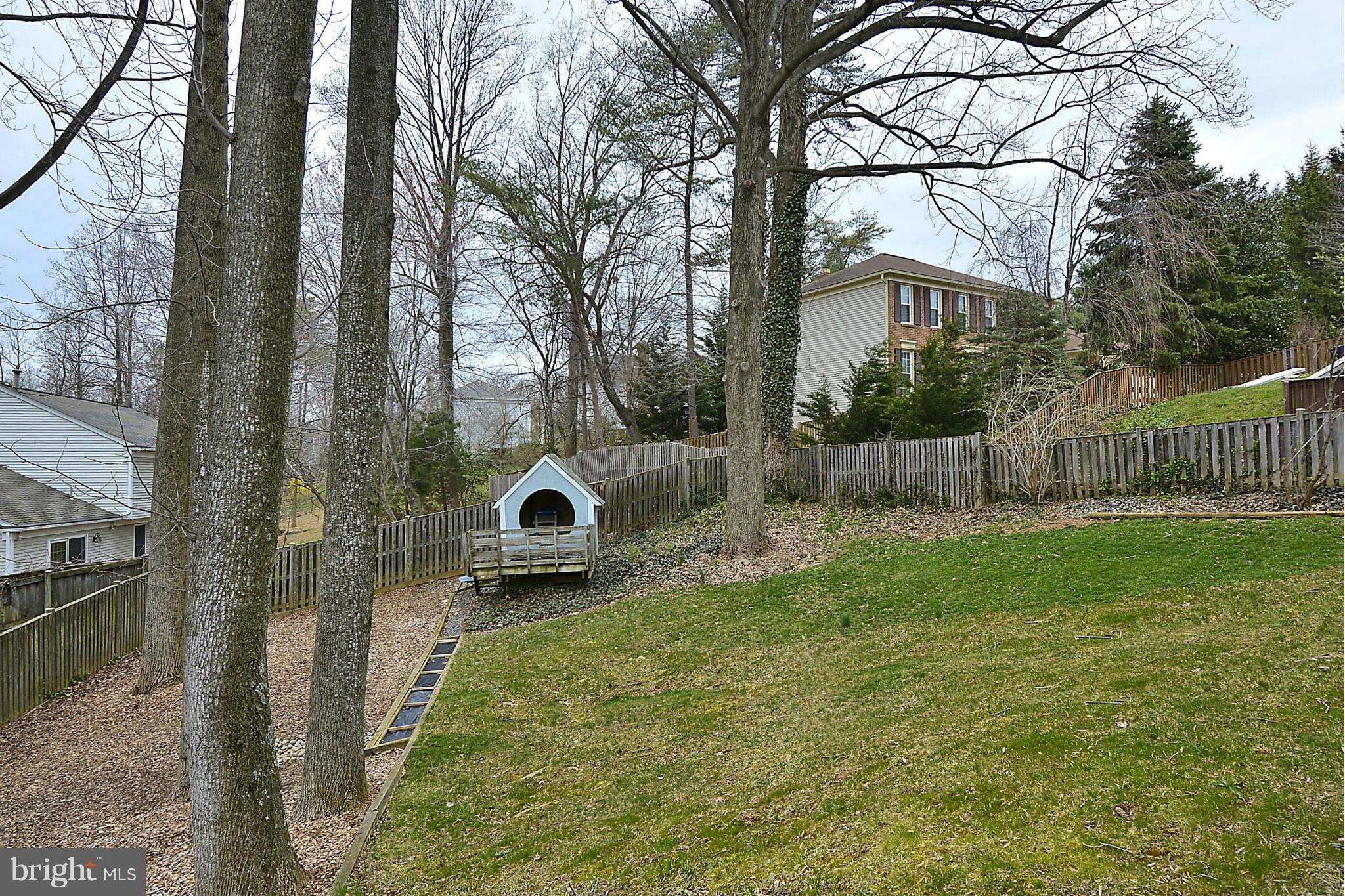 11330 Classical Lane Silver Spring, MD 20901 - Photo 27 of 30 Back Yard