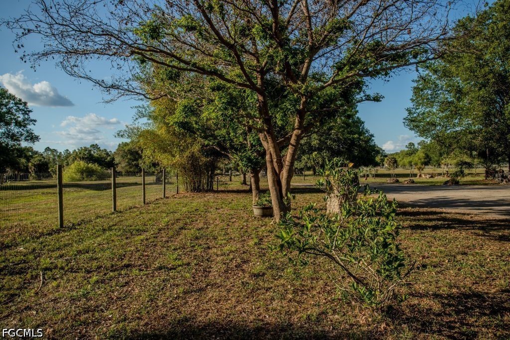 3880 Packinghouse Road Alva, FL 33920 - Photo 29 of 29 a view of backyard with green space