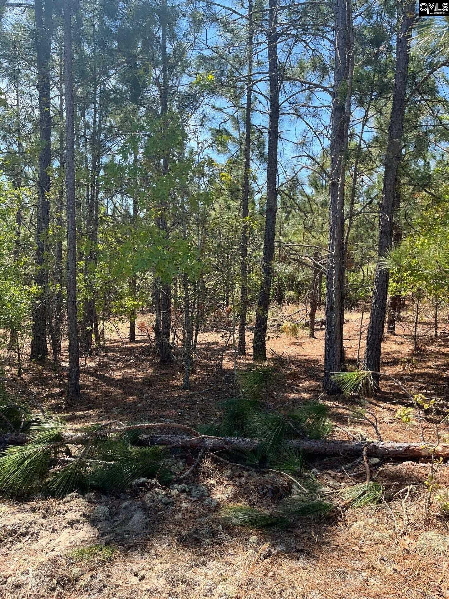 2 Beaver Dam Road Cassatt, SC 29032 - Photo 5 of 9