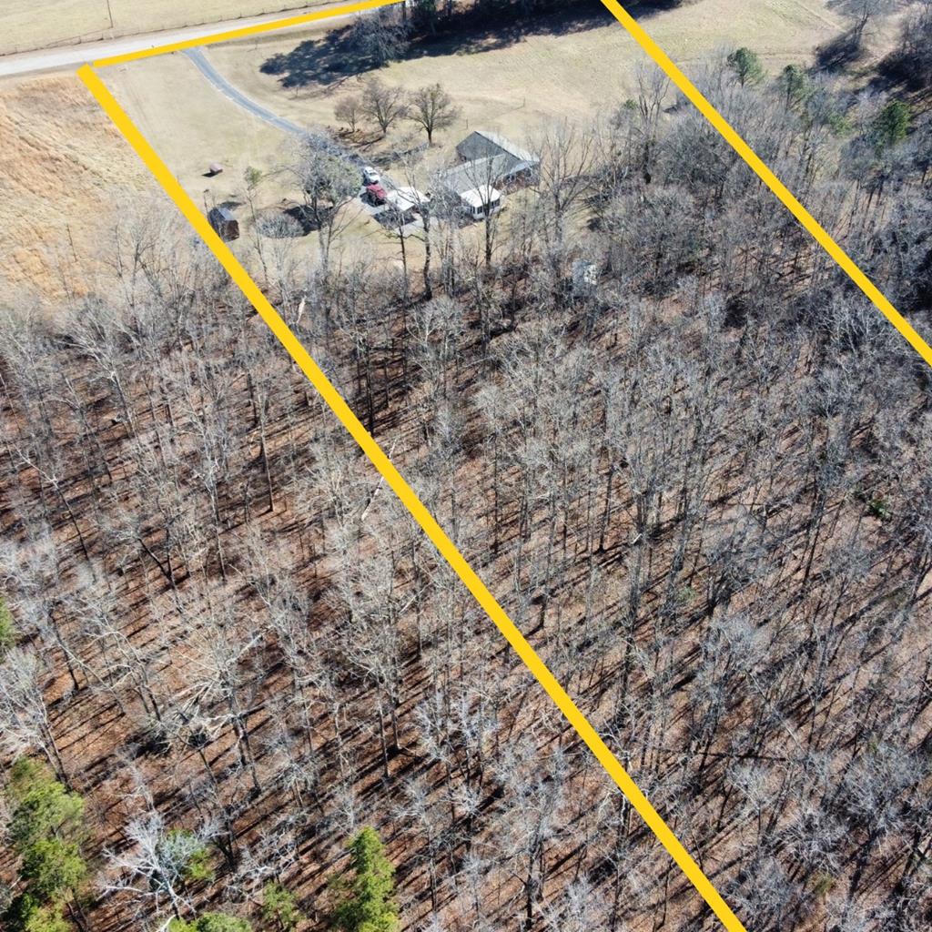 202 Wilton Road Abbeville, SC 29620 - Photo 33 of 35 An aerial perspective reveals a secluded estate nestled within a wooded landscape, offering privacy and tranquility.