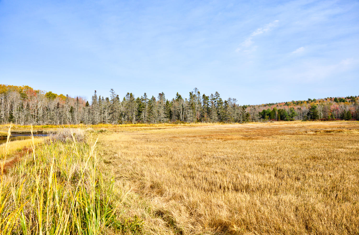 648 North Sedgwick Road Sedgwick, ME 04676 - Photo 50 of 67 D River 4