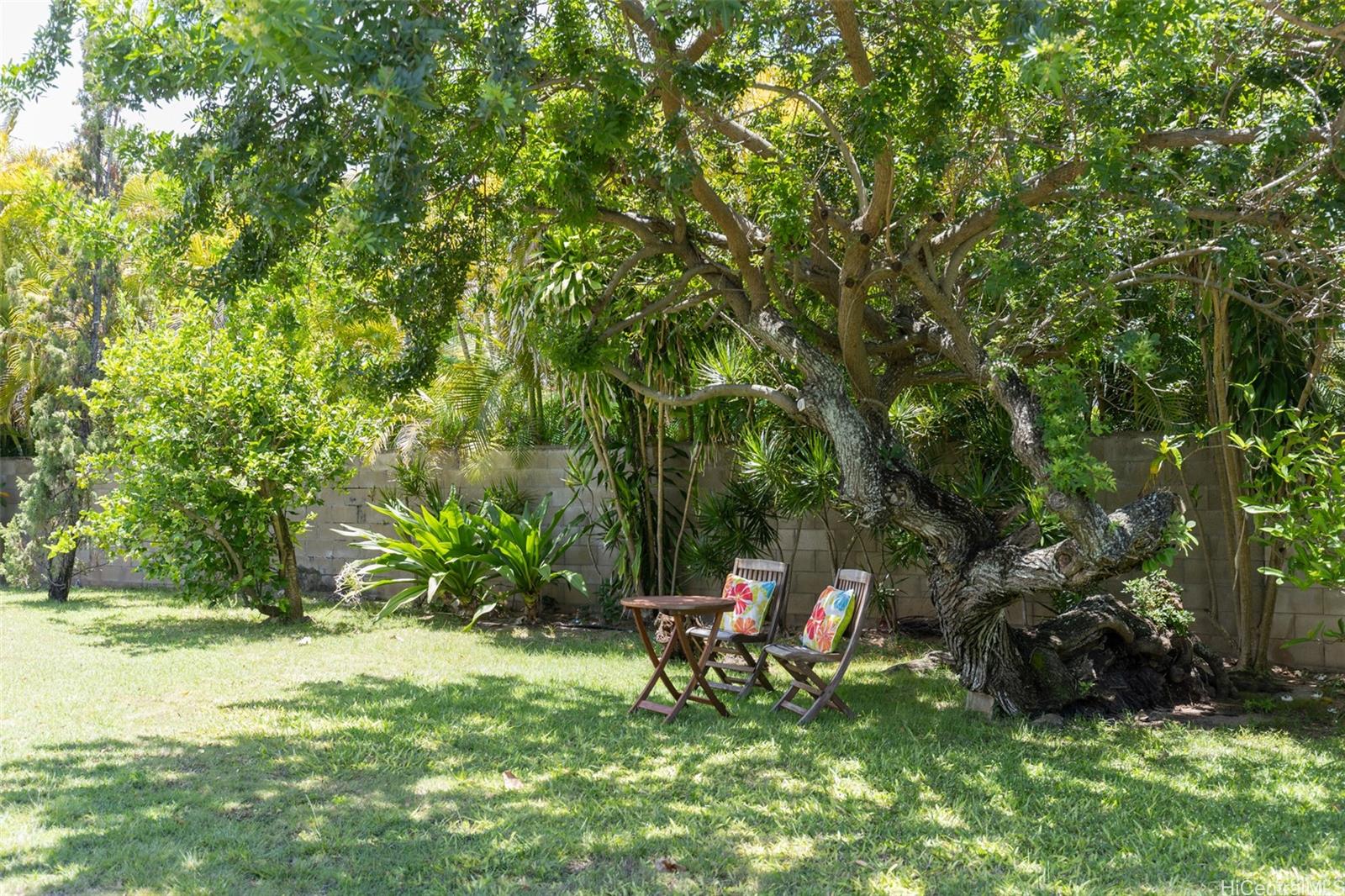 176 Kuulei Road Kailua, HI 96734 - Photo 21 of 25 Mature trees offering shade on a hot summer day!