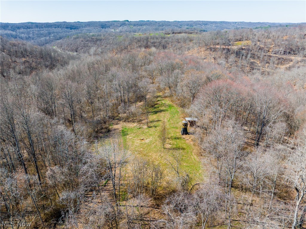 Sheepskin Ridge Road Lower Salem, OH 45745 - Photo 1 of 50 Drone / aerial view of a heavily wooded area
