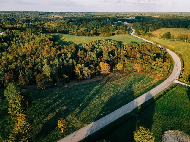 a view of a swimming pool with a garden