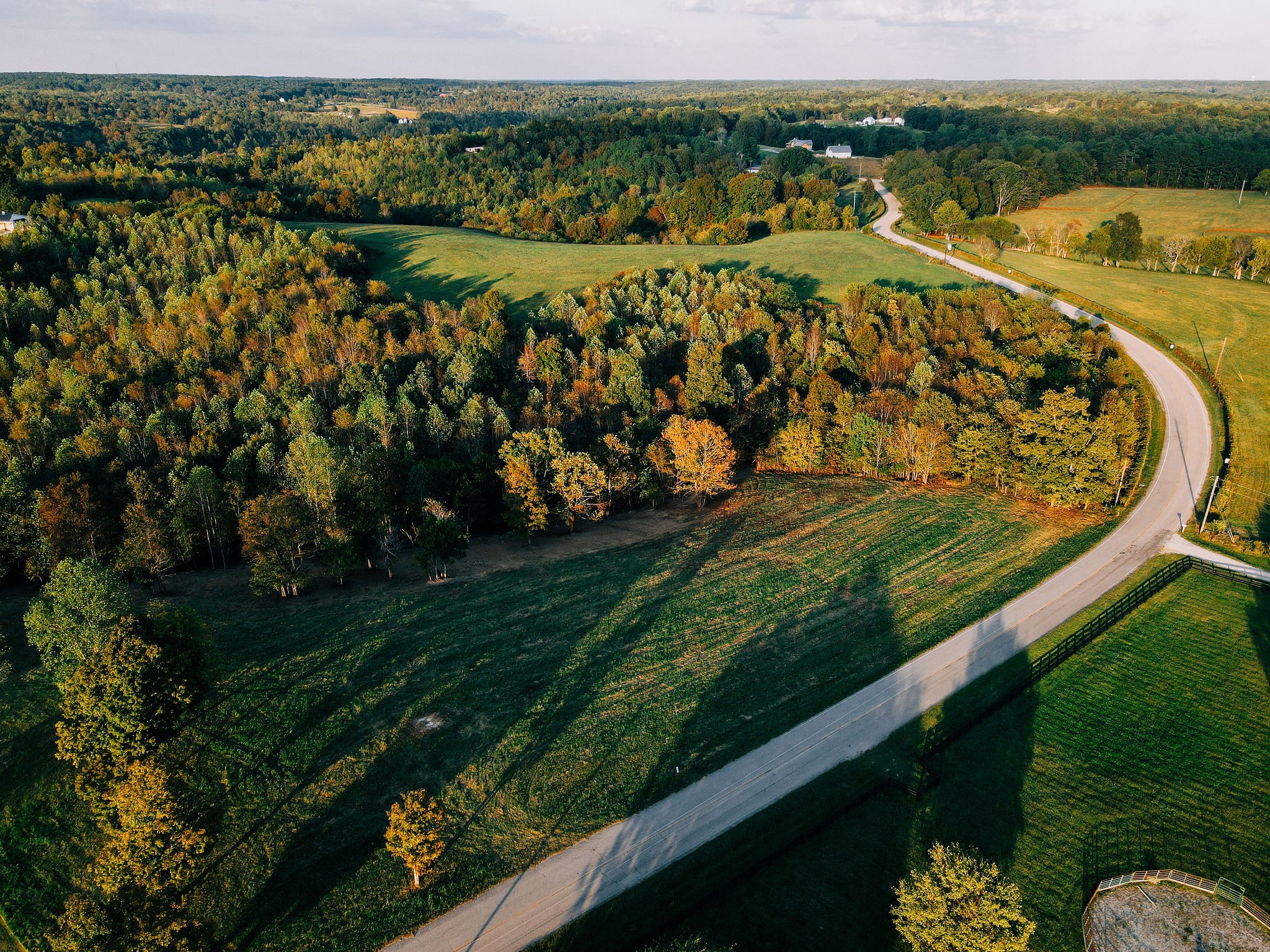 a view of a swimming pool with a garden