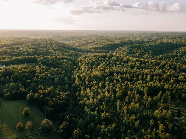 an aerial view of residential houses with outdoor space and trees