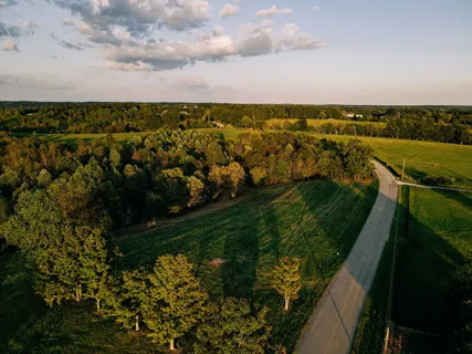 a view of a field with large trees