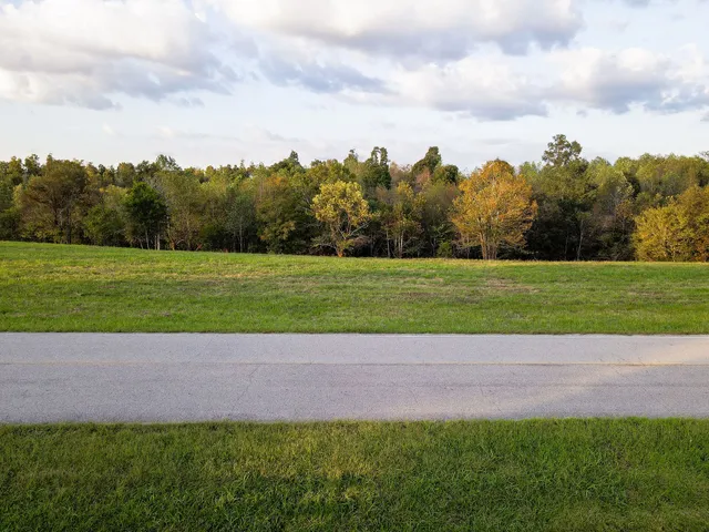 a view of outdoor space and yard