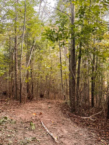 a view of ocean with green space