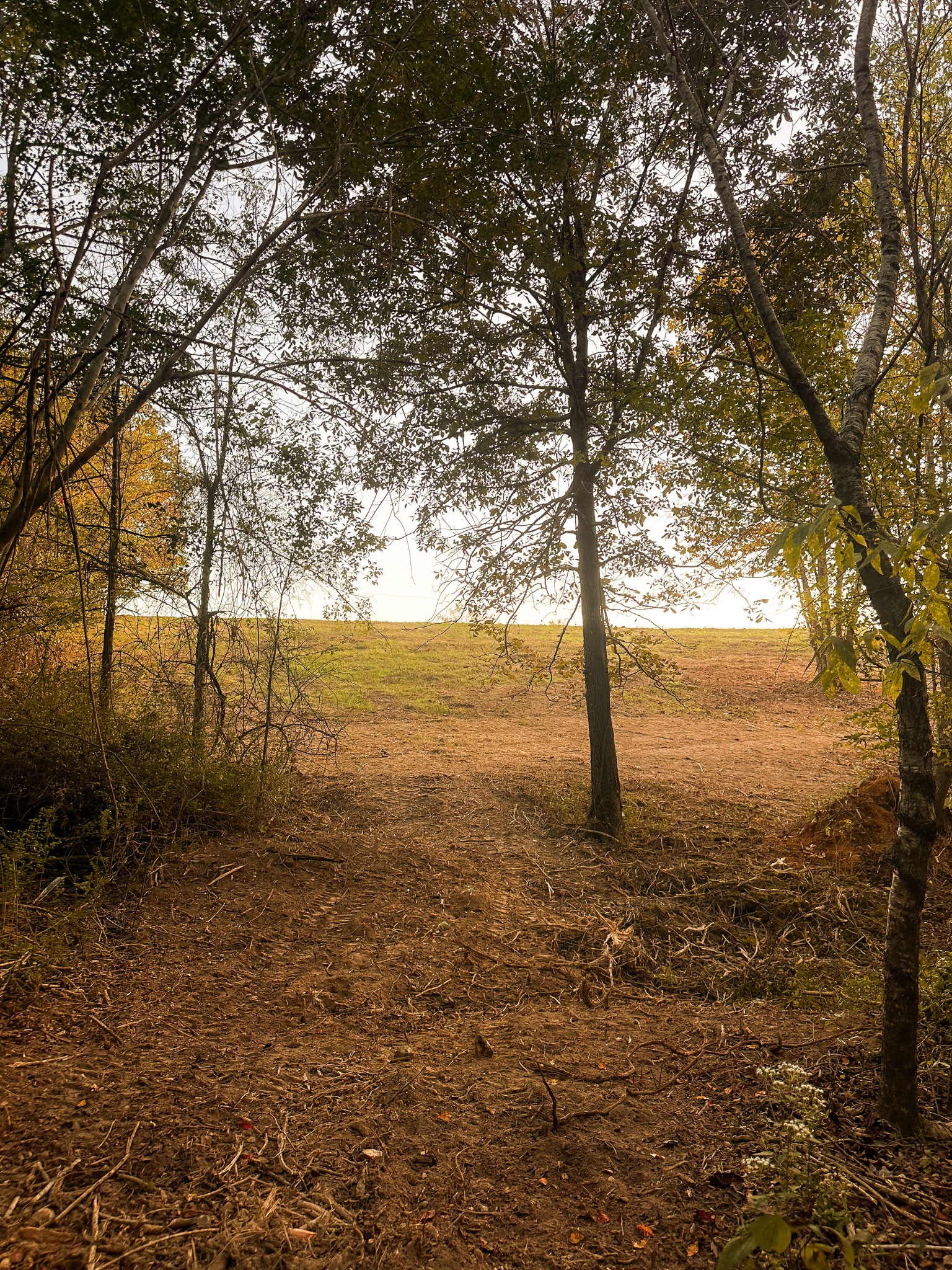 7810 West Lick Creek Road Primm Springs, TN 38476 - Photo 33 of 39 a view of an ocean
