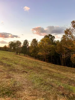 $475,000 | 7810 West Lick Creek Road, Primm Springs, TN 38476