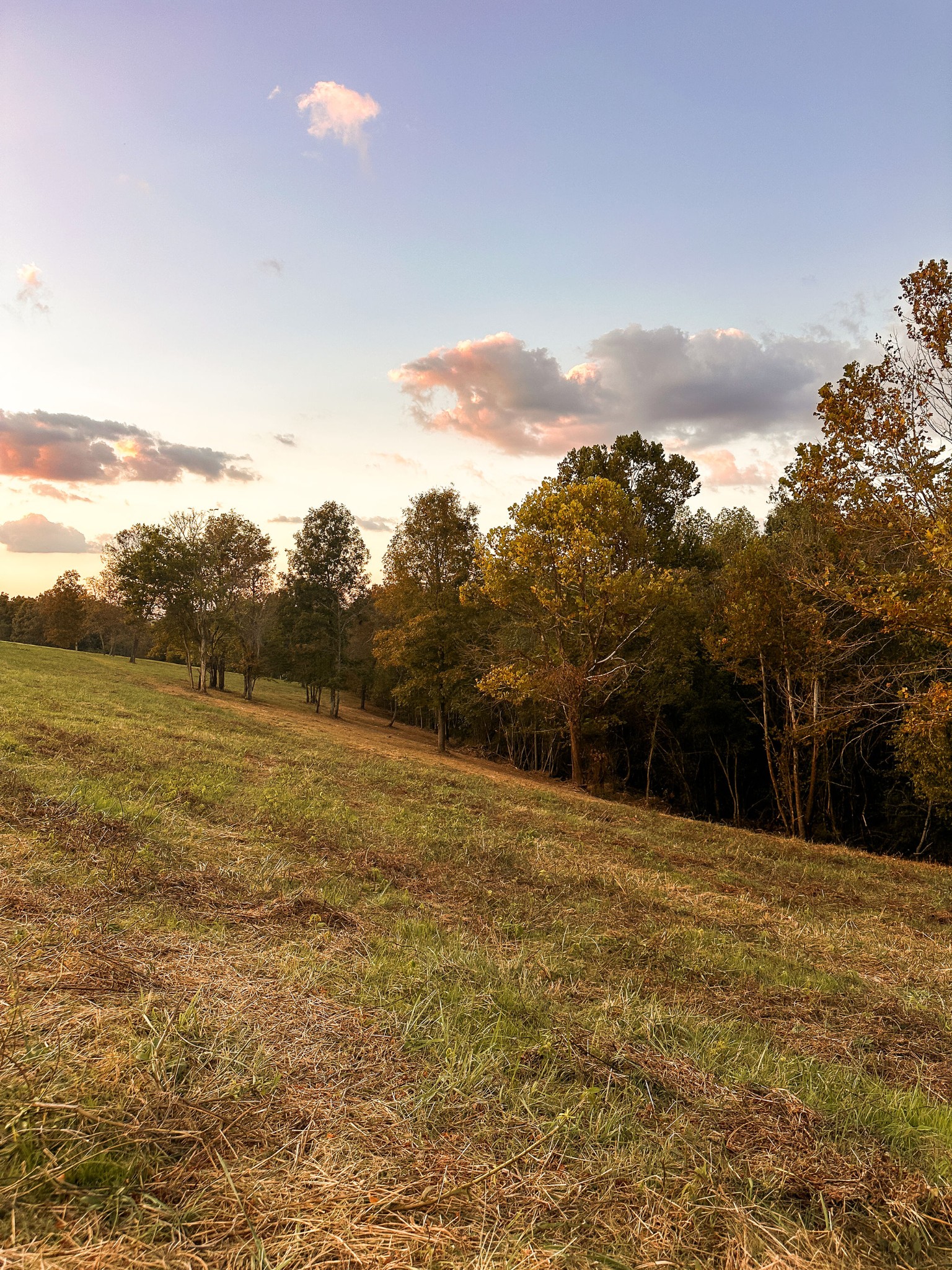 7810 West Lick Creek Road Primm Springs, TN 38476 - Photo 36 of 39 a view of ocean with green space