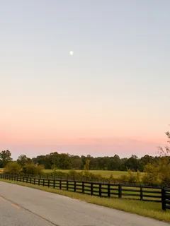 $475,000 | 7810 West Lick Creek Road, Primm Springs, TN 38476