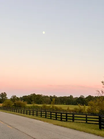 $475,000 | 7810 West Lick Creek Road, Primm Springs, TN 38476