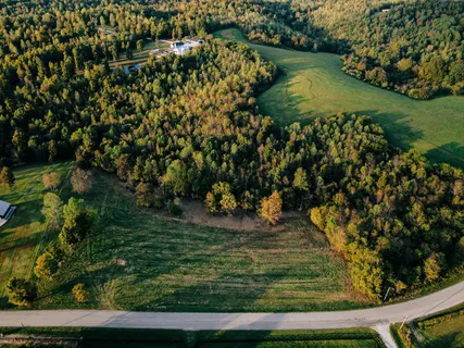 a vase of flowers sitting on a wooden floor