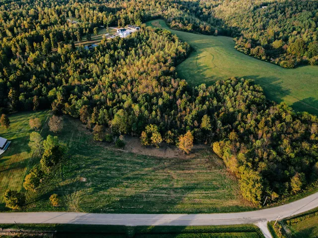 a vase of flowers sitting on a wooden floor