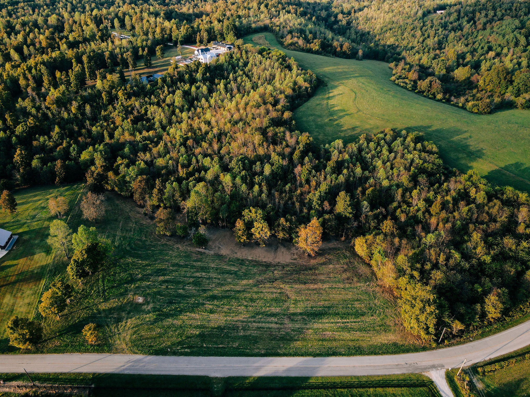 7810 West Lick Creek Road Primm Springs, TN 38476 - Photo 8 of 39 a view of a yard