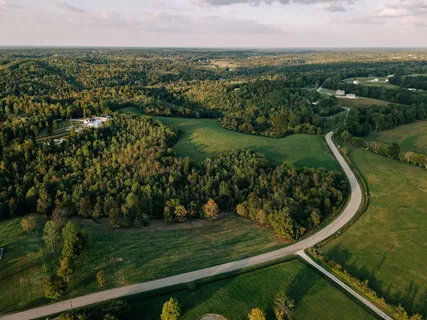 a view of a city with lush green forest