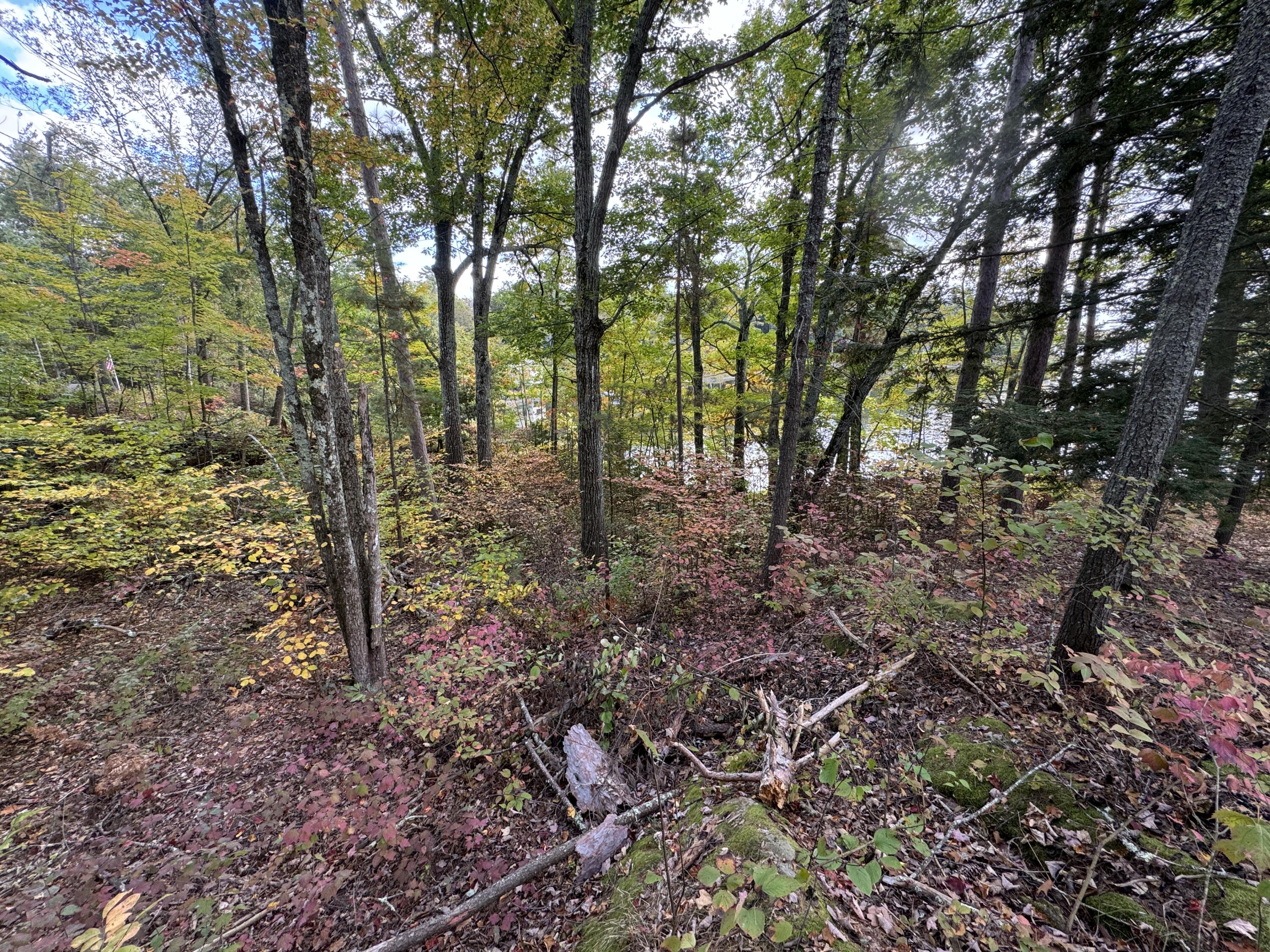 Lot 5 Locust Lane Unity, ME 04988 - Photo 9 of 9 Land