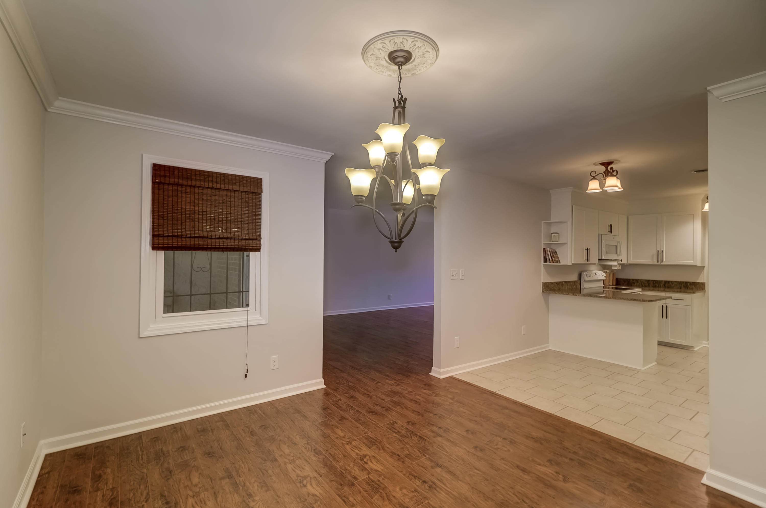36 Meander Row Charleston, SC 29412 - Photo 14 of 55 36 Meander Row (13)
