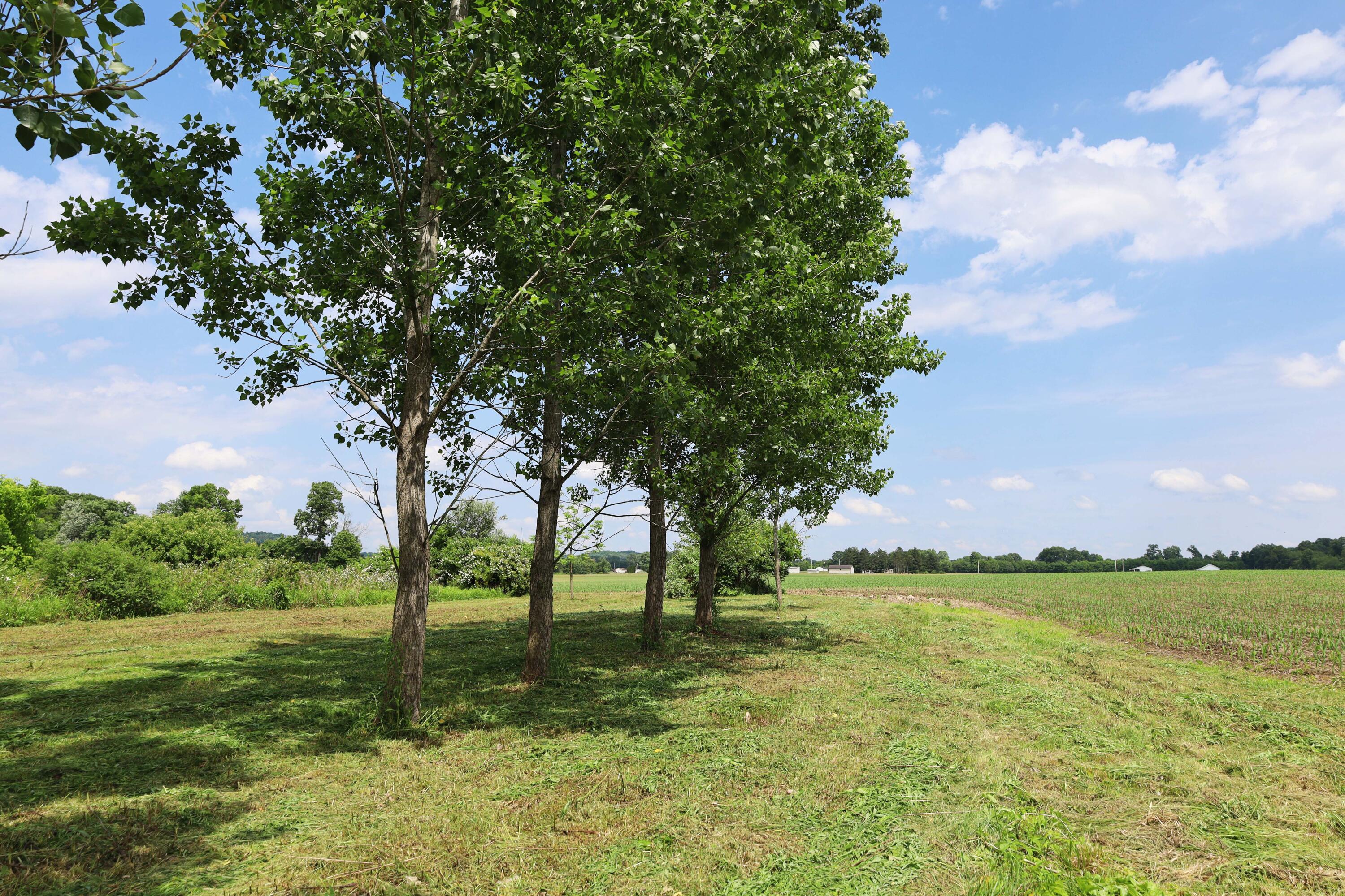 0 Schoolhouse Road Frazeysburg, OH 43822 - Photo 2 of 31 IMG_9565