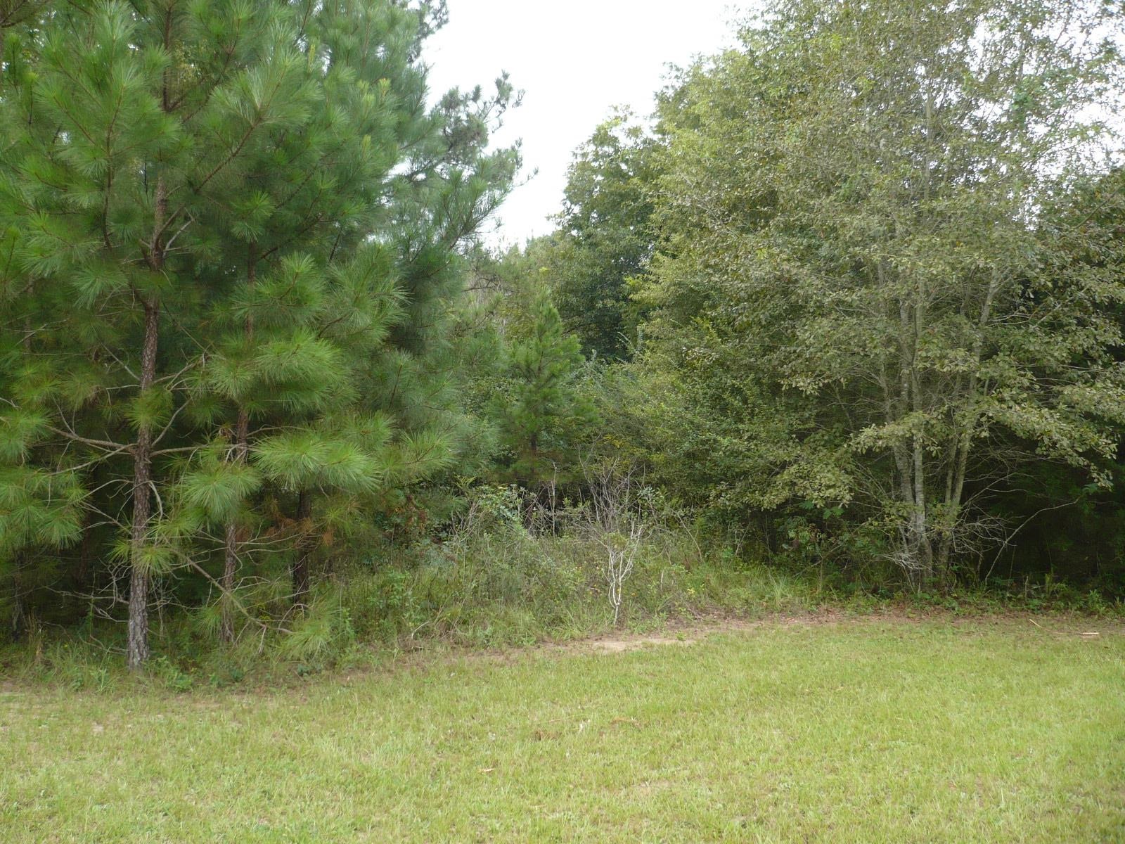3.12-acres Cool Springs Road Fort Valley, GA 31030 - Photo 4 of 13