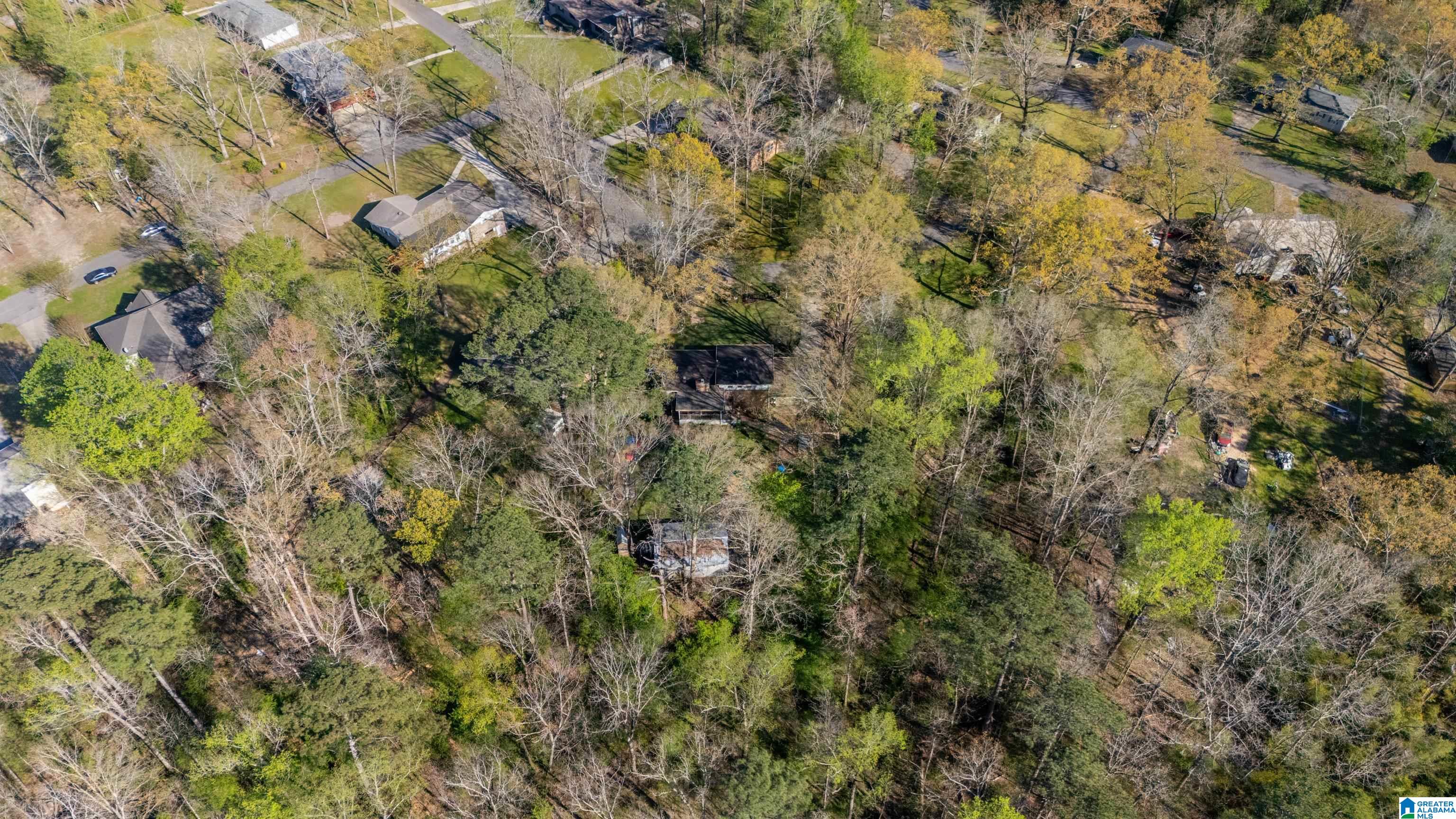 5224 Elm Road Mount Olive, AL 35117 - Photo 42 of 46