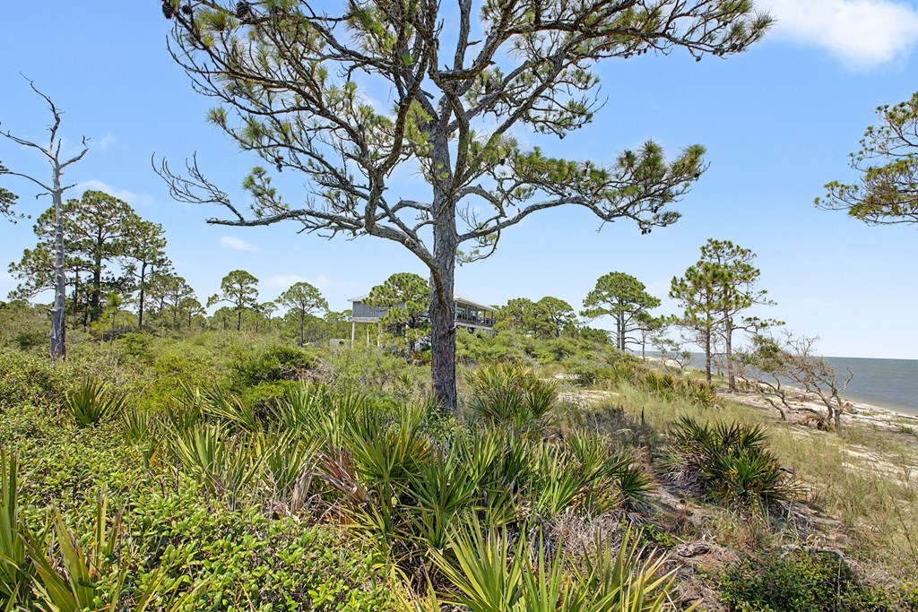 446 Bald Point Road Alligator Point, FL 32346 - Photo 23 of 30