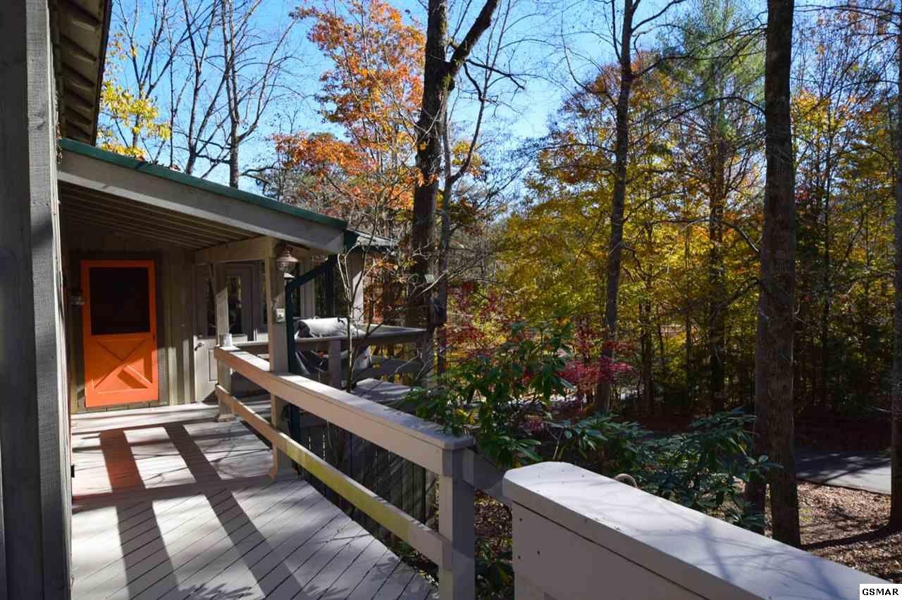 281 Laurel Road Townsend, TN 37882 - Photo 21 of 31 Gallery Image 21