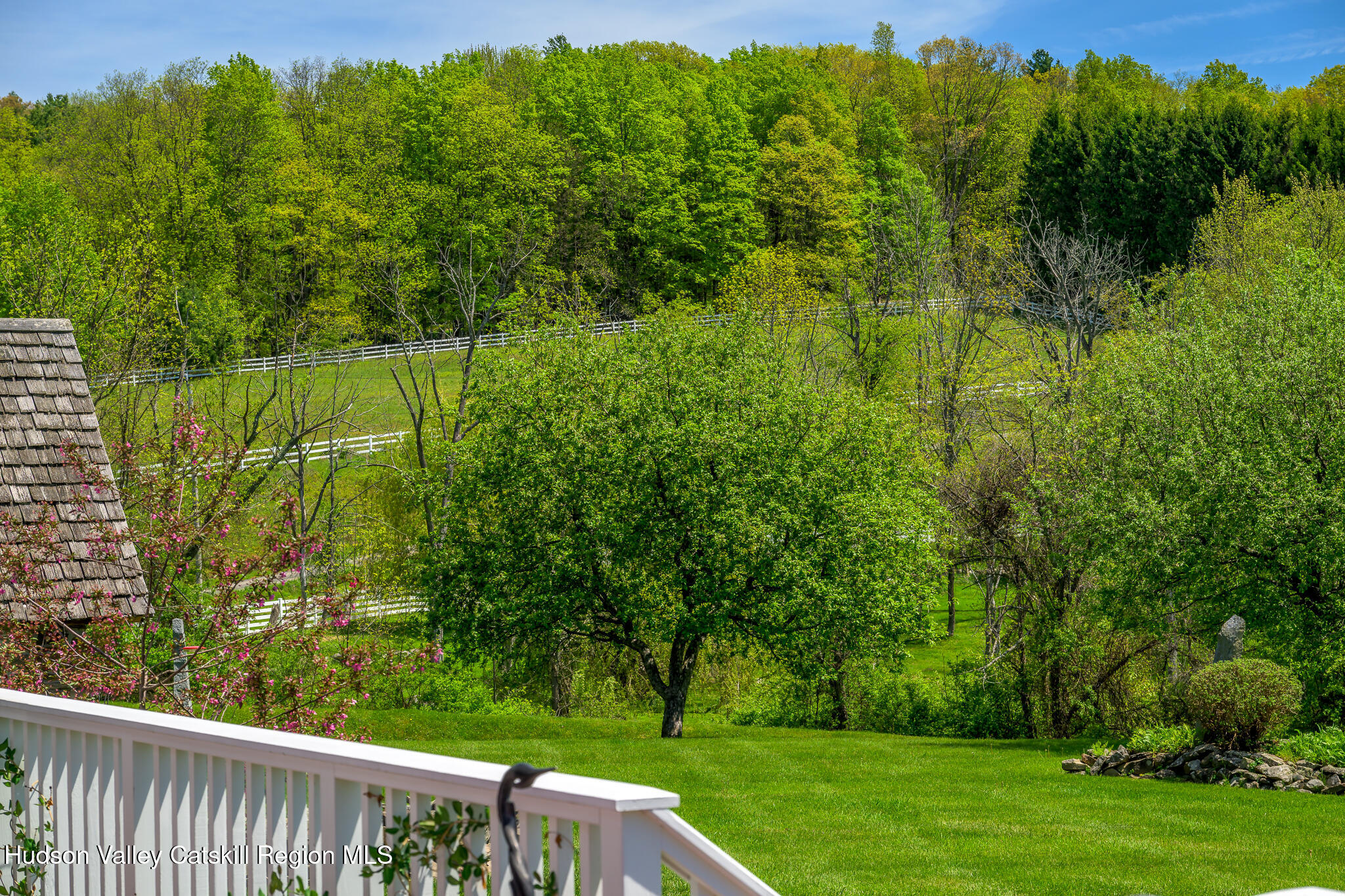 160 Beale Road Chatham, NY 12037 - Photo 49 of 51 meadow