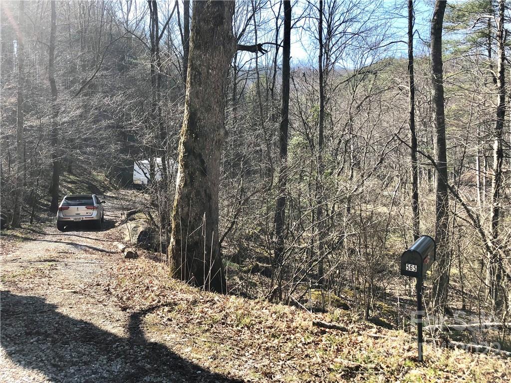 565 Gold Mine Road Robbinsville, NC 28771 - Photo 16 of 25 Gallery Image 16