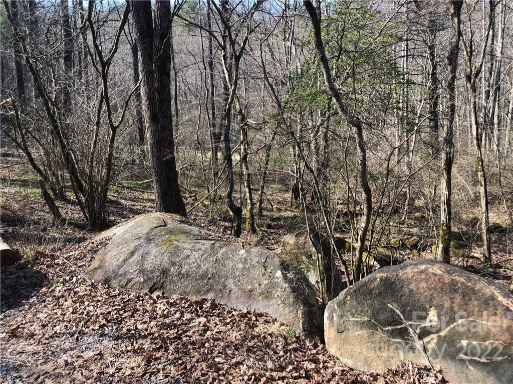 565 Gold Mine Road Robbinsville, NC 28771 - Photo 17 of 25 Gallery Image 17