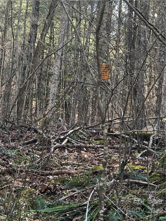 565 Gold Mine Road Robbinsville, NC 28771 - Photo 20 of 25 Gallery Image 20
