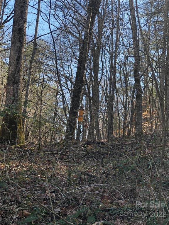 565 Gold Mine Road Robbinsville, NC 28771 - Photo 21 of 25 Gallery Image 21