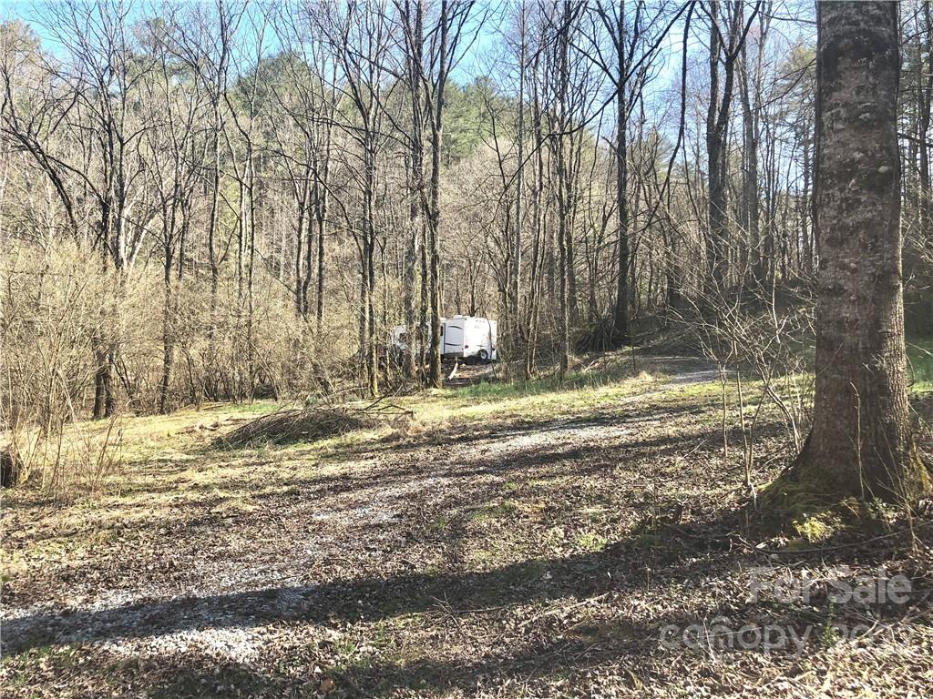 565 Gold Mine Road Robbinsville, NC 28771 - Photo 10 of 25 Gallery Image 10