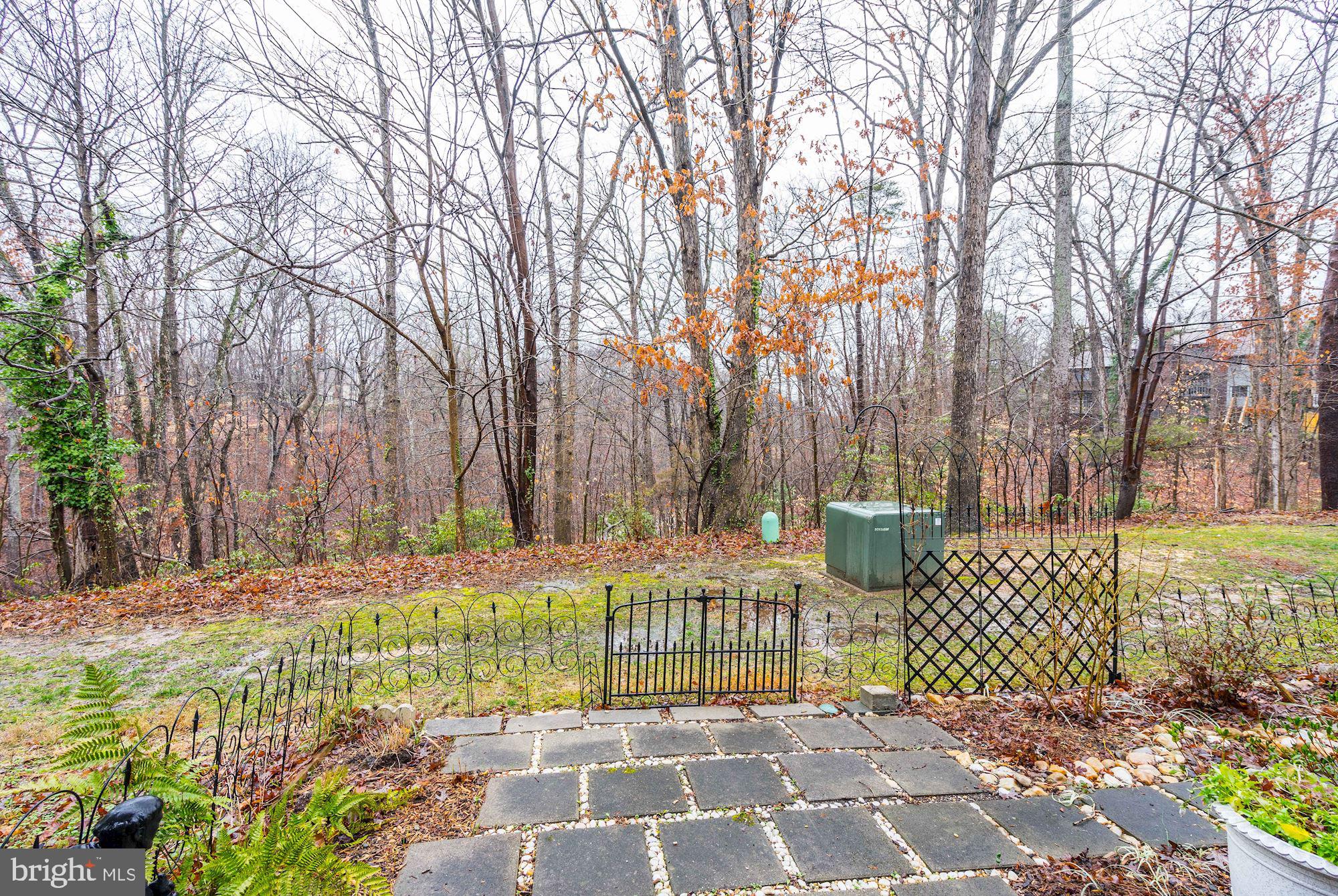 8552 Gwynedd Way Springfield, VA 22153 - Photo 23 of 37 Gardener's delight! Backs to woods and stream