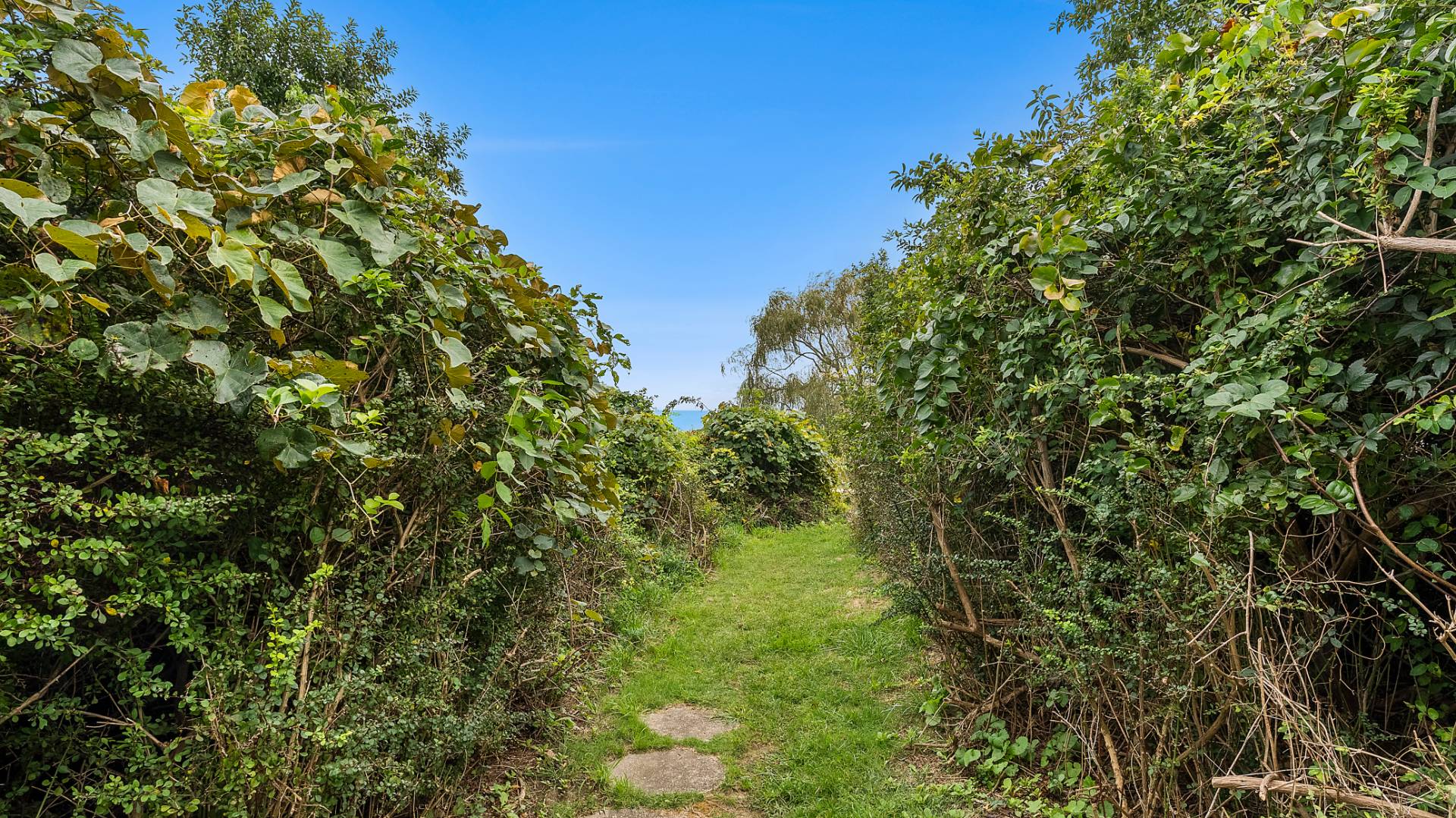 11 Fairview Road Montauk, NY 11954 - Photo 38 of 38 a view of a lush green forest